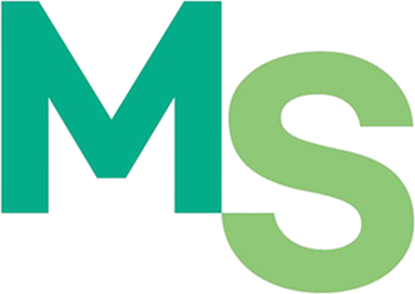 MS시스템