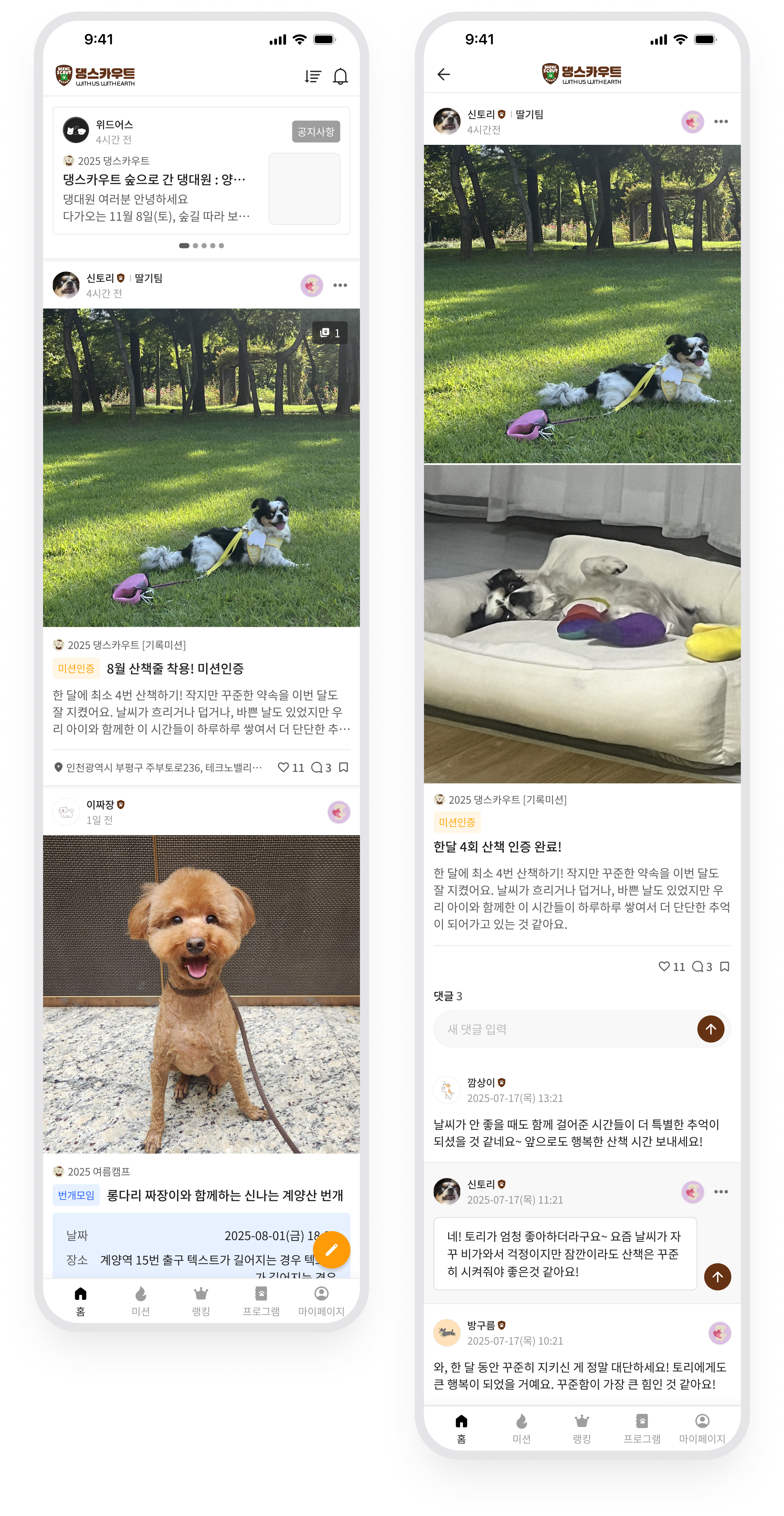 댕스카우트 · 반려견과 함께한 활동을 공유하는 피드와 커뮤니티