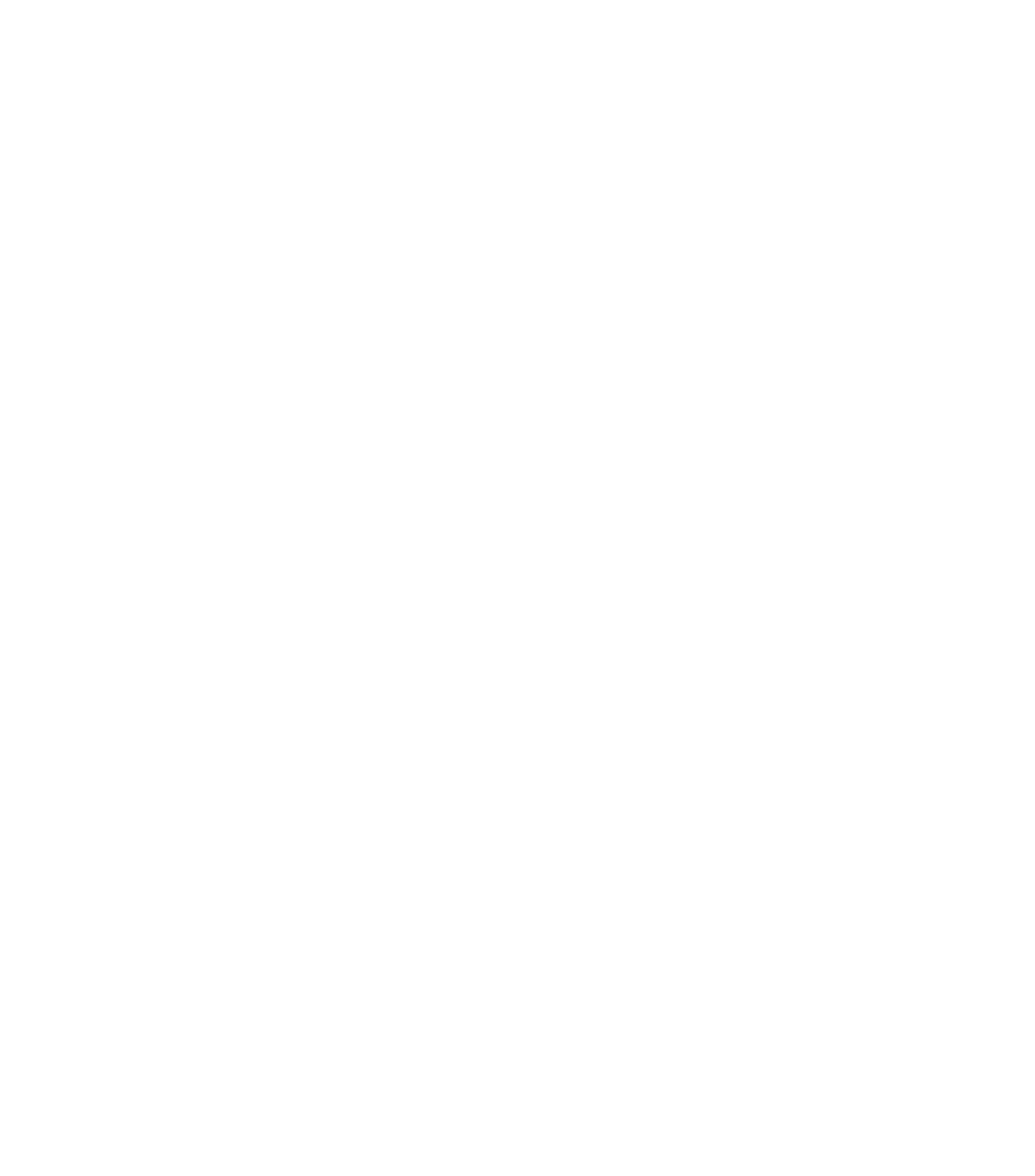 나이스그룹